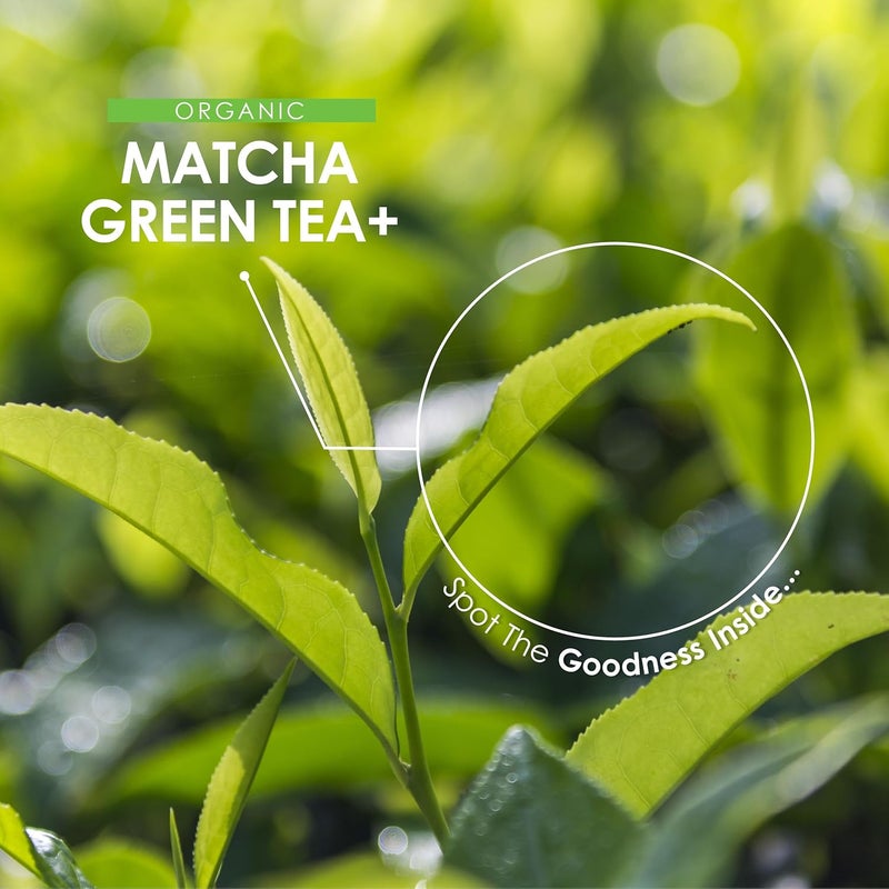 ALPHA01 Organic Matcha Green Tea Extract 1360mg 90 Vegan Capsules Boosted with Turmeric Acerola Black Pepper Resealable and Recyclable Pouch by Alpha01 - Image 4