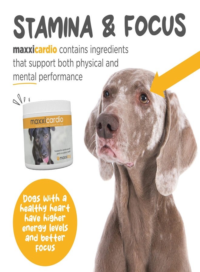 maxxipaws مكمل غذائي ماكسيبوز ماكسي كارديو للقلب والأوعية الدموية للكلاب، 3.2 أونصة - Image 4