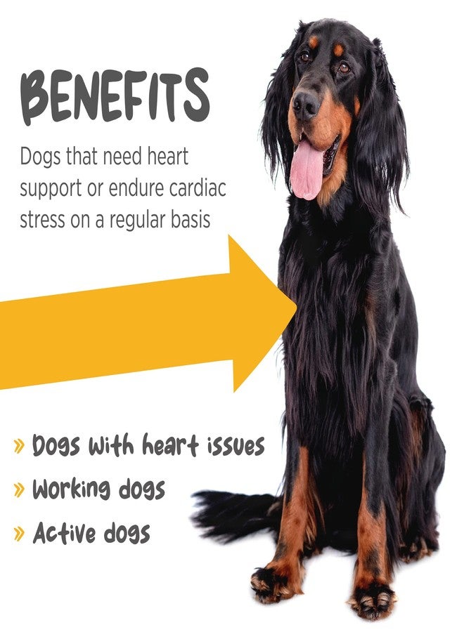 maxxipaws مكمل غذائي ماكسيبوز ماكسي كارديو للقلب والأوعية الدموية للكلاب، 3.2 أونصة - Image 2