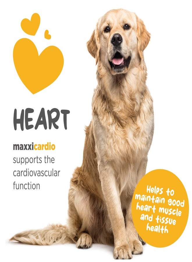 maxxipaws مكمل غذائي ماكسيبوز ماكسي كارديو للقلب والأوعية الدموية للكلاب، 3.2 أونصة - Image 3