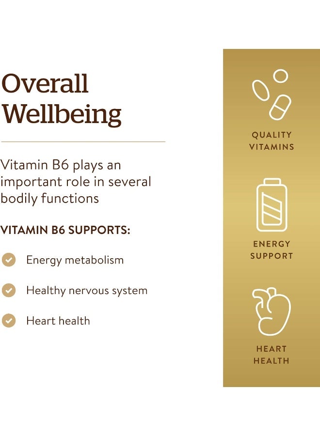 سولجر أقراص فيتامين ب 6 - 100 قرص - Image 4