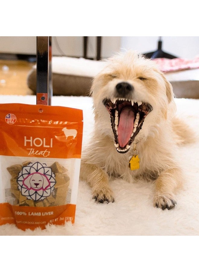 هولي مكافآت كبد الكلاب المجففة بالتجميد من هولي - كبد ضأن صحي طبيعي بالكامل، 100% صنع في الولايات المتحدة الأمريكية - مكون واحد فقط - مناسب للبشر - خالٍ من الحبوب - مناسب لمرضى السكري - Image 5