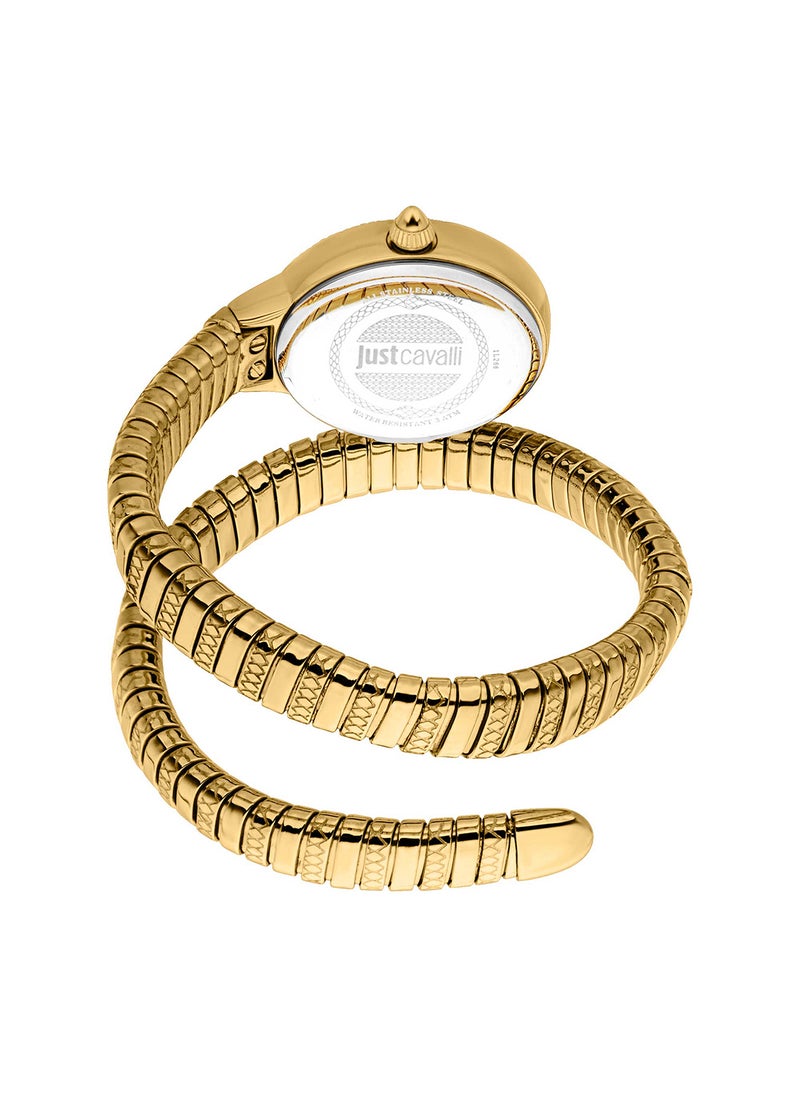Just Cavalli - Women's Round Shape Stainless Steel Wrist Watch JC1L268M0025 - 22 Mm - Image 1