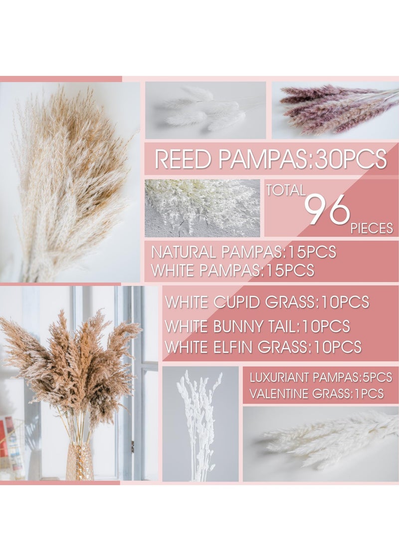 Generic Natural Dried Pampas Grass Bouquet for Boho Home Decor - 92PCS Phragmites Dried Flowers for Wedding Floral Arrangements and Home Decorations.  - Image 3