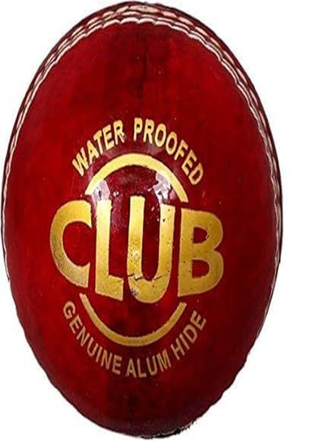 Vibco Club Red Leather 2parts Ball (Red)(Pack of 1 Ball) - Image 2