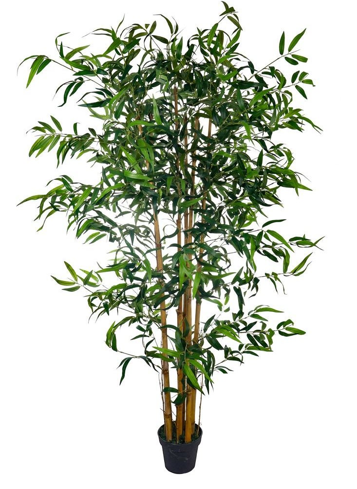 Zen Bamboo - Zen-Inspired Artificial Bamboo Plant 6.5ft - Image 1
