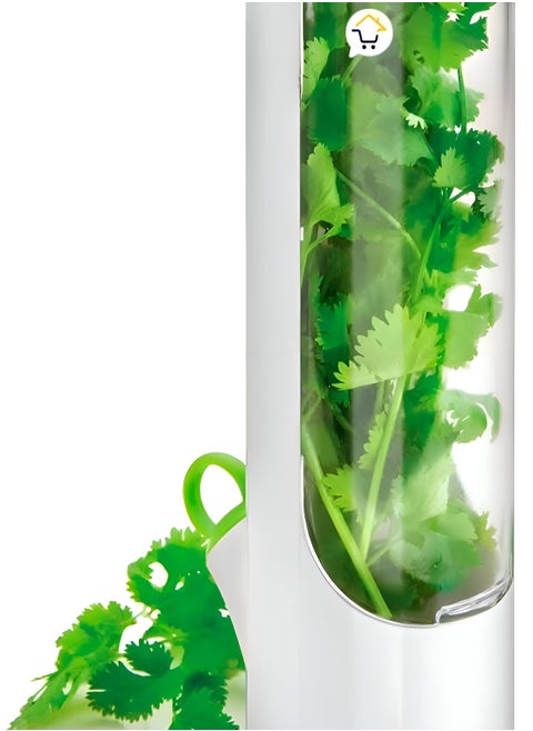 Continuous Growth Fresh Herb Container For The Refrigerator - A Creative Solution For Storing And Preserving Herbs Like Coriander, Parsley, And Anise, Keeping Your Vegetables Fresh