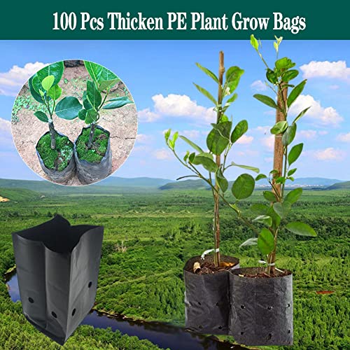 DredQcco 100PACK Plant Grow Bags,Thicken PE Seedling Bag Fruit Tree Seedling Cup Bonsai Planting Bag with Breathable Holes for Garden Black Planting Bags Nursery Bags (4.7'' Dia x 8'' H) - Image 2
