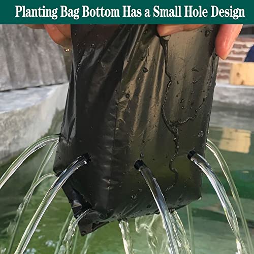DredQcco 100PACK Plant Grow Bags,Thicken PE Seedling Bag Fruit Tree Seedling Cup Bonsai Planting Bag with Breathable Holes for Garden Black Planting Bags Nursery Bags (4.7'' Dia x 8'' H) - Image 4