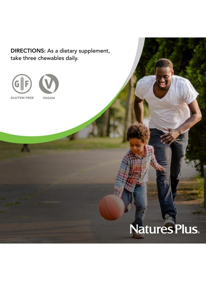 NaturesPlus Natures Plus Hema-Plex Iron - 60 Mixed Berry Chewables - 85 mg Elemental Iron - Total Blood Health - with Vitamin C & Bioflavonoids - Vegan, Gluten Free - 20 Servings - Image 5