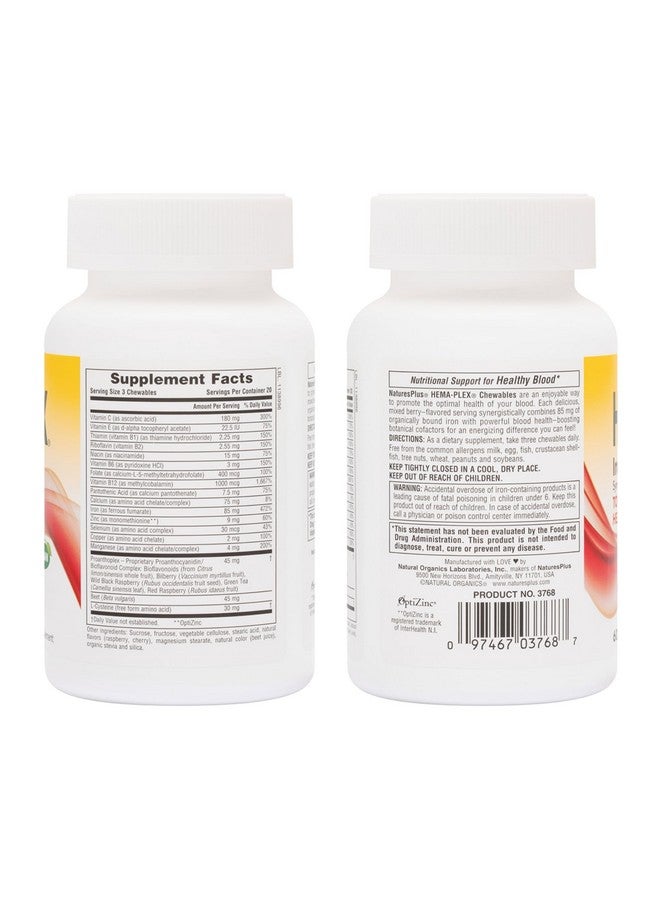 NaturesPlus Natures Plus Hema-Plex Iron - 60 Mixed Berry Chewables - 85 mg Elemental Iron - Total Blood Health - with Vitamin C & Bioflavonoids - Vegan, Gluten Free - 20 Servings - Image 2