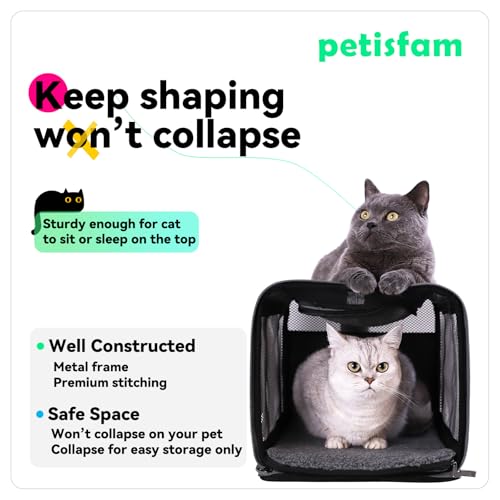 petisfam Soft Pet Carrier Bag for Cats and Puppy Under 20 lbs. Sturdy, Safe, Comfortable and Lightweight - Image 4