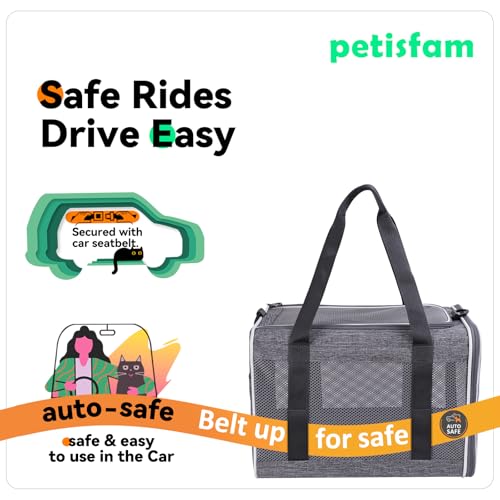 petisfam Soft Pet Carrier Bag for Cats and Puppy Under 20 lbs. Sturdy, Safe, Comfortable and Lightweight - Image 3