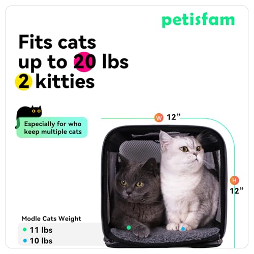 petisfam Soft Pet Carrier Bag for Cats and Puppy Under 20 lbs. Sturdy, Safe, Comfortable and Lightweight - Image 5