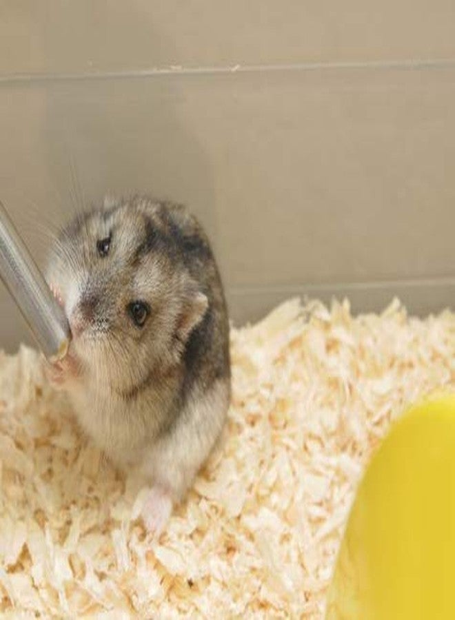 KittuPet زجاجة ماء معلقة من KittuPet، موزع مياه، مانعة للتنقيط، مانعة للتسرب، مناسبة للهامستر، خنزير غينيا والأرنب (متعددة الألوان) (250 مل) - Image 2