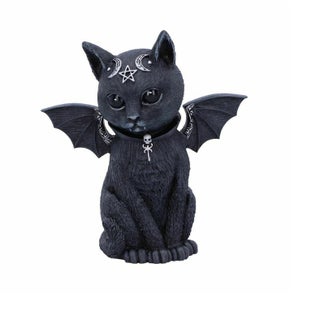 Wings cat
