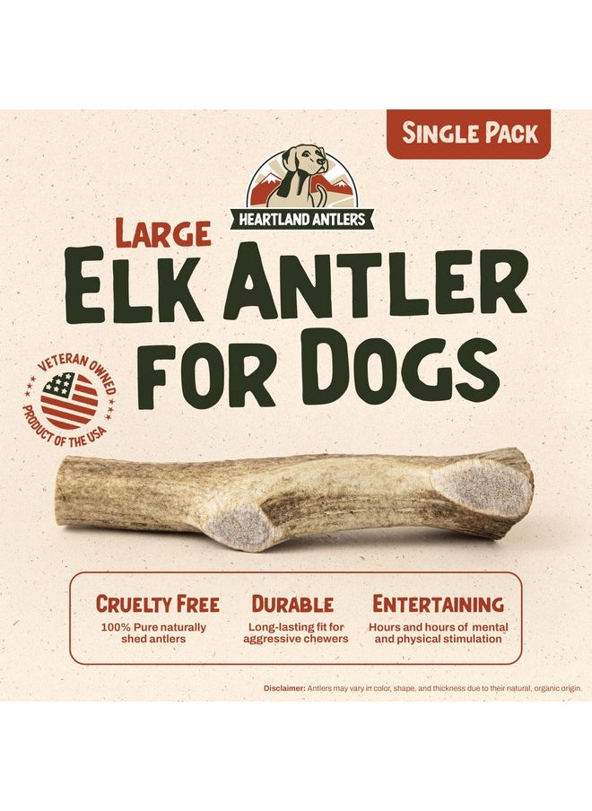 Heartland Antlers Heartland Elk Antlers for Dogs - Grade A, Naturally Shed Antlers | Dog Bones for Aggressive Chewers & Teething Puppies | All Breeds Chew Toy USA Made & Veteran Owned (Whole: 7", Large, 1-Pack)  - Image 2