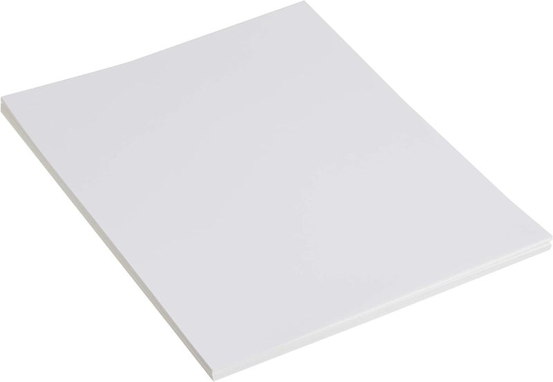 Canon 2768B022 Photo Paper Pro Platinum, 8.5 x 11 Inches, 20 Sheets (Pack of 2) - Image 3