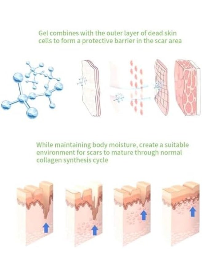 ASMOXA Silicone Scar Gel, Advanced Scar Cream for Surgical Scars, Burns, C-Section, Stretch Marks, Keloids, Fades Old & New Scars, Face & Body Scar Treatment, Smooths & Softens Skin, For Men & Women - Image 4