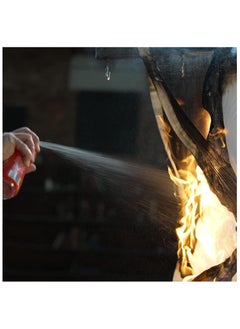 HERIOS Portable Fire Extinguisher for Car, Home, and Office, 500ML  - Image 4
