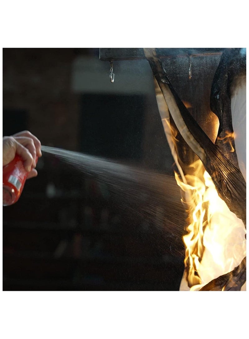 توقف الحريق طفاية حريق محمولة للسيارة والمنزل والمكتب، ١٠٠٠ مل - Image 3