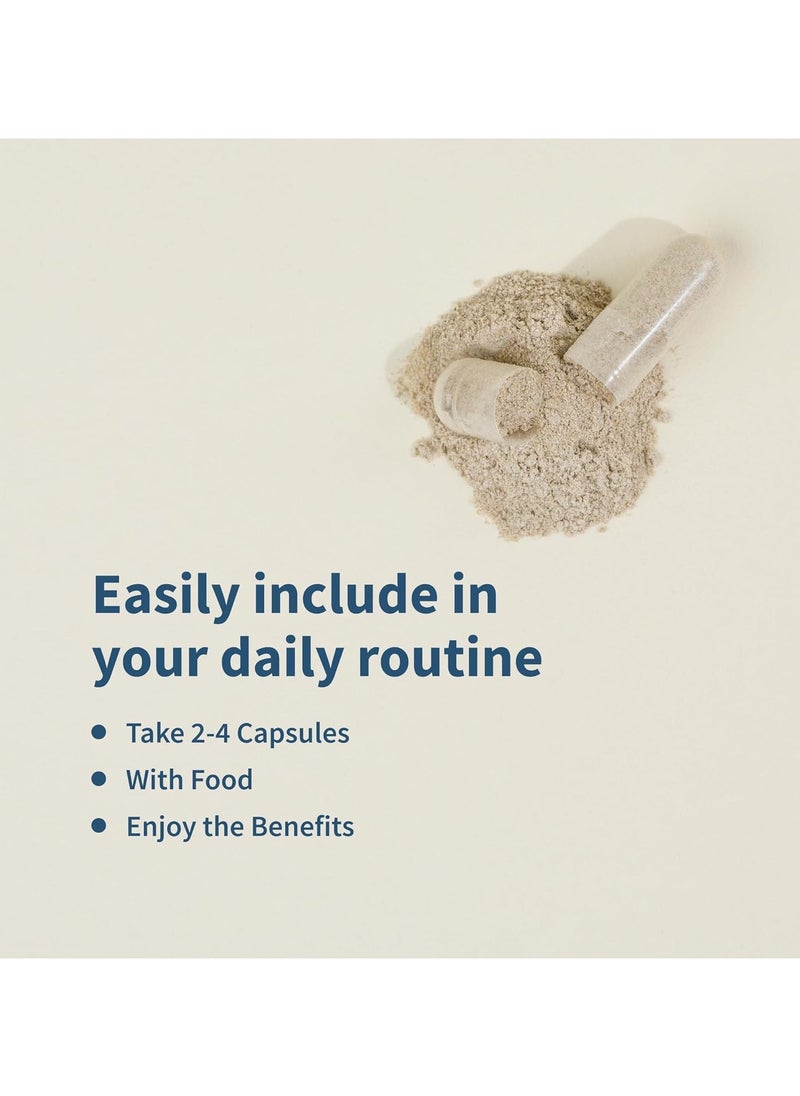 SNAP SUPPLEMENTS - Sleep Complex with Melatonin, Promotes Restful Sleep , Helps Wake Feeling Energized, Support Improved Sleep, Dietary Supplement - 60 Capsules - Image 1