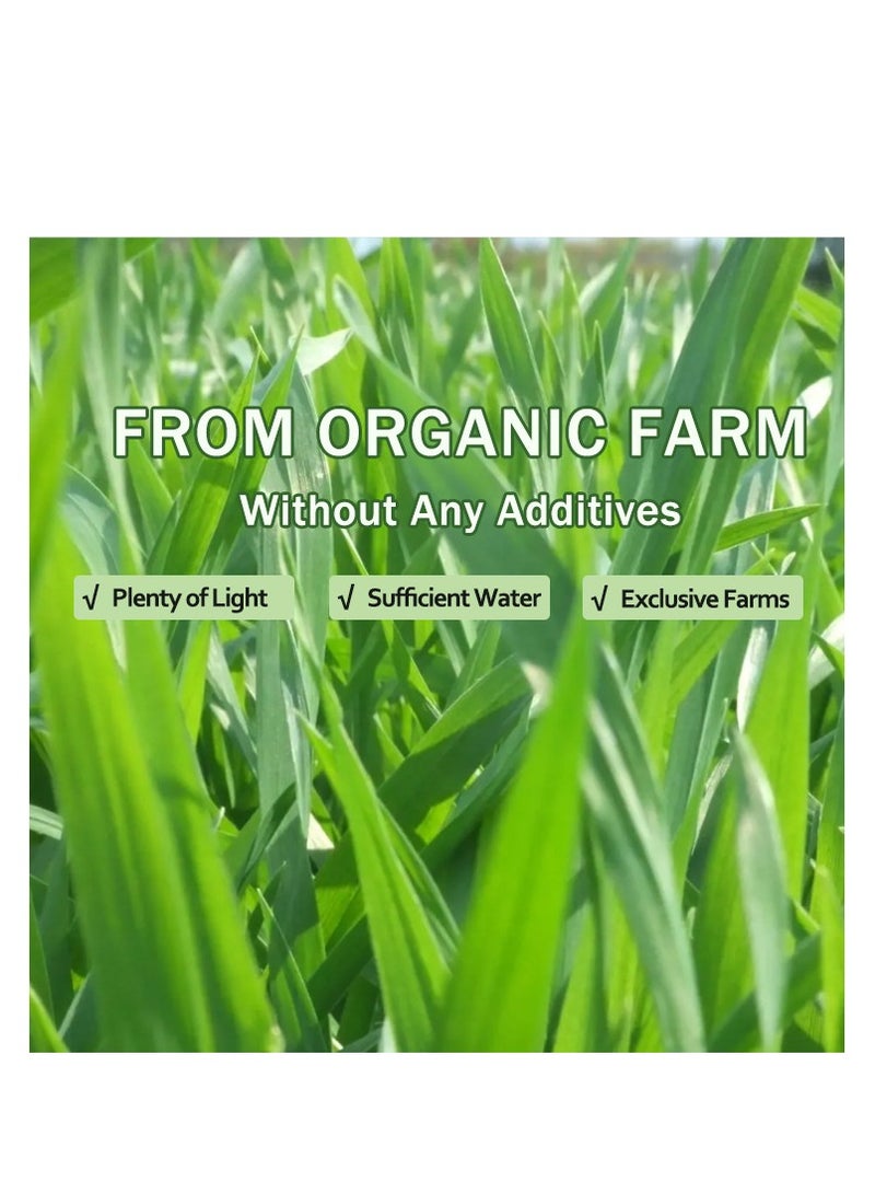 I AM Amazing Pure Organic Barley Powdered Drink Mix 10pcs - Image 3