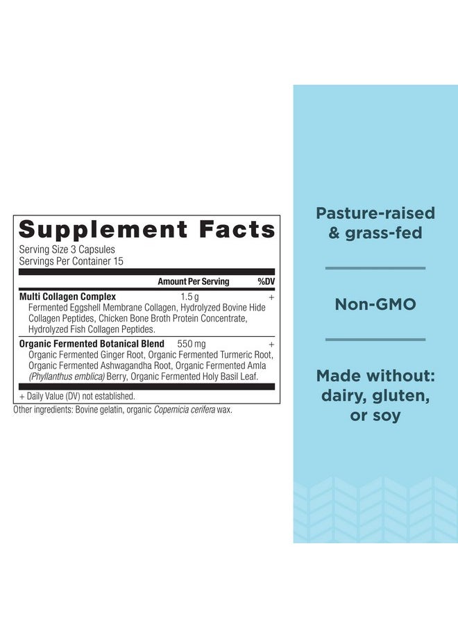 Ancient Nutrition - Collagen Pills Peptides Powder Supplement 45 Count Hydrolyzed Multi Collagen Pills Types I Ii Ii V & X Supports Healthy Skin And Nails Gut Health And Joint Support - Image 1