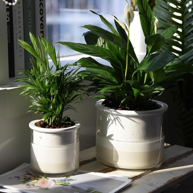 Phoenix Vine 6 Inch 4 Inch Self Watering Planter Pots, Design White Terracotta Pots for Plants, Indoor Cylinder Terra Cotta Pots with Glass Vase Set, 51-B-G - Image 5