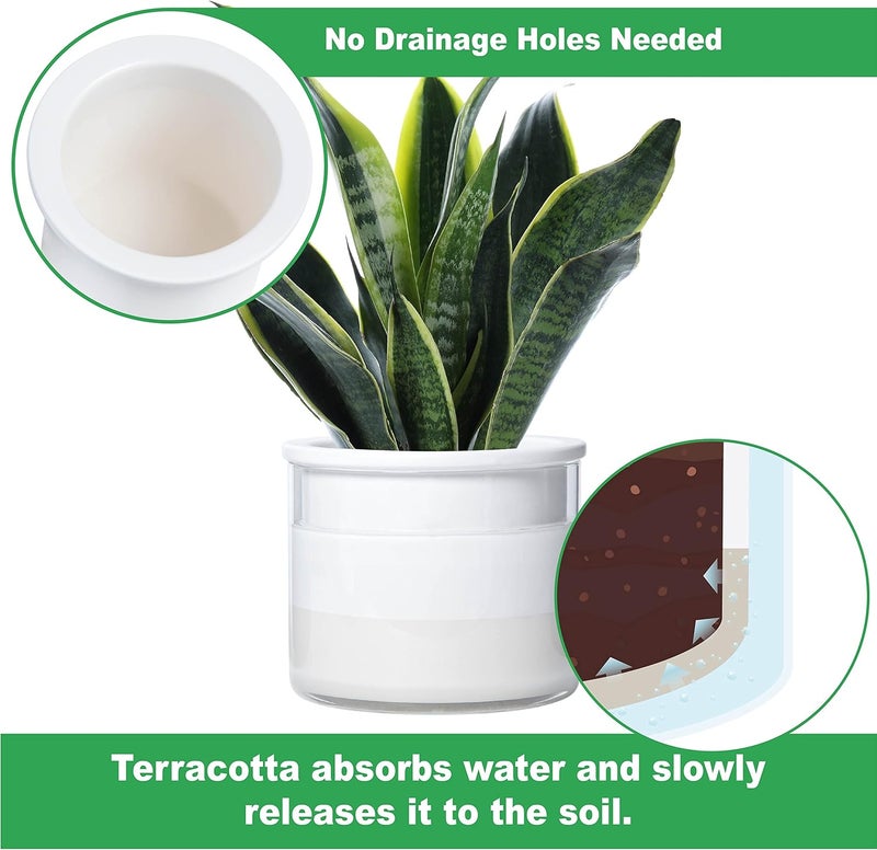 Phoenix Vine 6 Inch 4 Inch Self Watering Planter Pots, Design White Terracotta Pots for Plants, Indoor Cylinder Terra Cotta Pots with Glass Vase Set, 51-B-G - Image 3