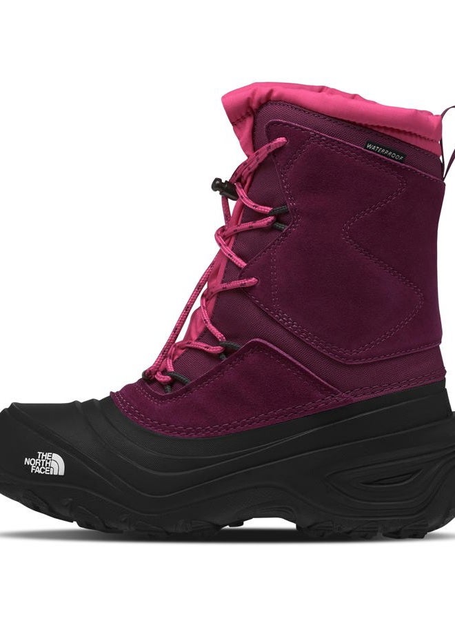 THE NORTH FACE Teen Alpenglow V Waterproof Boot, Boysenberry/Tnf Black, 6 Big Kid - Image 1