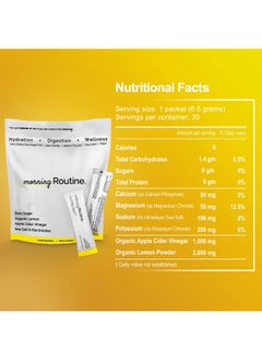 routine Morning Daily Hydration ; Electrolyte Powder Packets With Apple Cider Vinegar Lemon And Sea Salt ; Hydrate Powder Electrolyte Drink Mix ; Keto & Paleo Electrolytes Hydration Powder 30 Ct  - Image 5