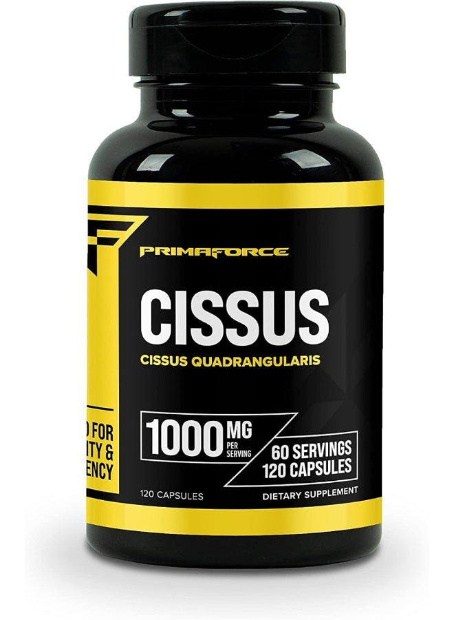 Primaforce Cissus Supplement, 120 Count, 1000Mg Capsules - Image 1