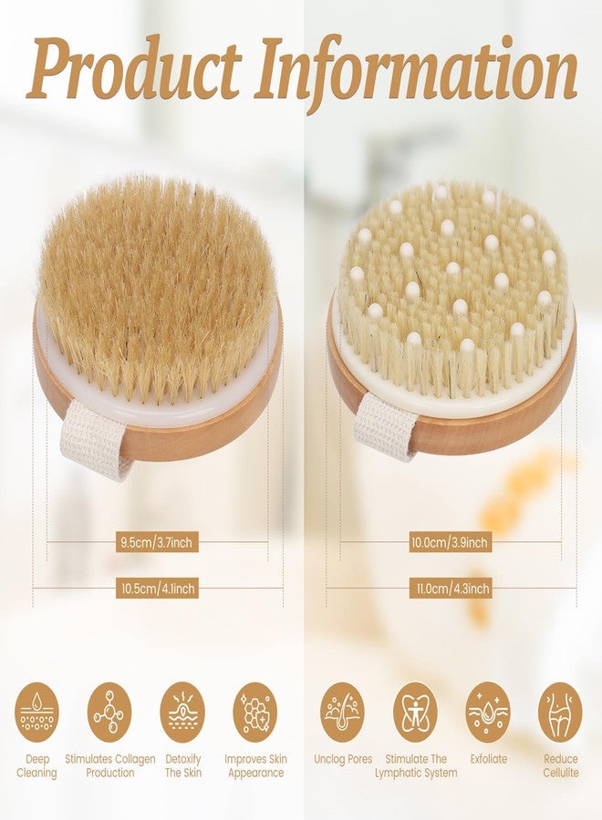 DEBETOOL 2-Pack Dry Body Brush - Dry Brushing Body Brush for Lymphatic Drainage & Exfoliating, Round Body Brush with Massage Nodes & Natural Bristles for Skin Care - Image 2