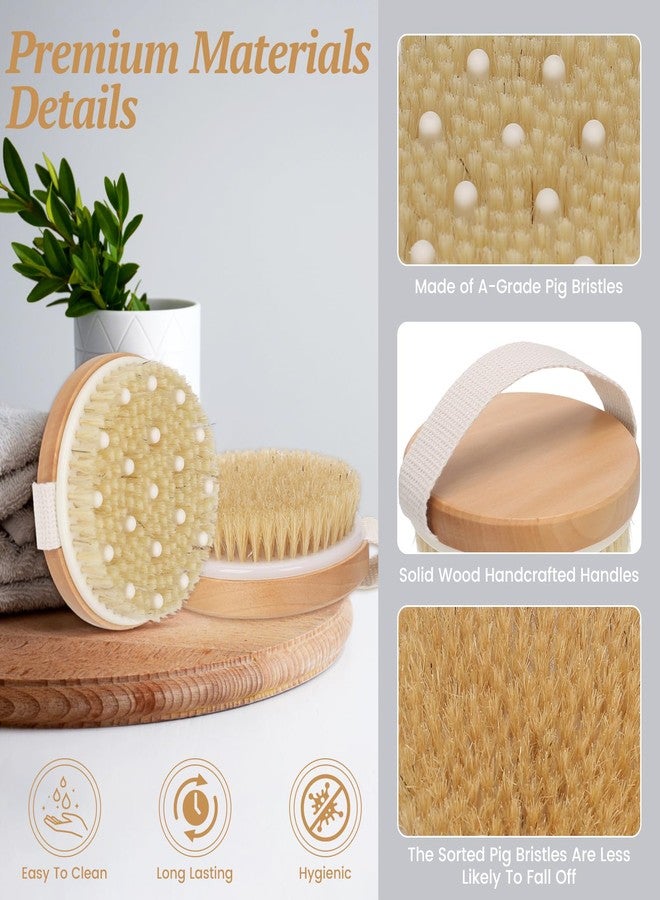 DEBETOOL 2-Pack Dry Body Brush - Dry Brushing Body Brush for Lymphatic Drainage & Exfoliating, Round Body Brush with Massage Nodes & Natural Bristles for Skin Care - Image 3
