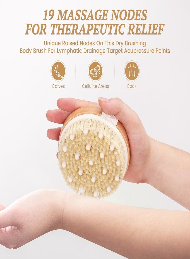 DEBETOOL 2-Pack Dry Body Brush - Dry Brushing Body Brush for Lymphatic Drainage & Exfoliating, Round Body Brush with Massage Nodes & Natural Bristles for Skin Care - Image 4