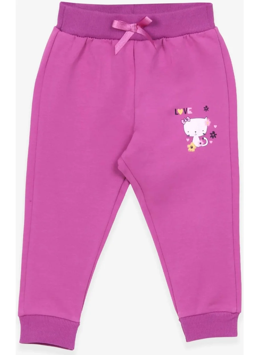 Breeze Baby Girl Sweatpants Cat Printed 6 Months-2 Years, Lilac