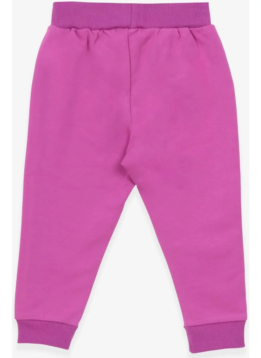 Breeze Baby Girl Sweatpants Cat Printed 6 Months-2 Years, Lilac