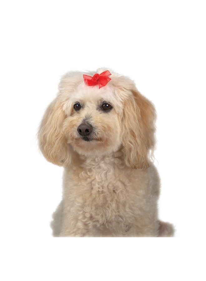 Sheer Delight Bows for Dogs, 100-Piece Canisters