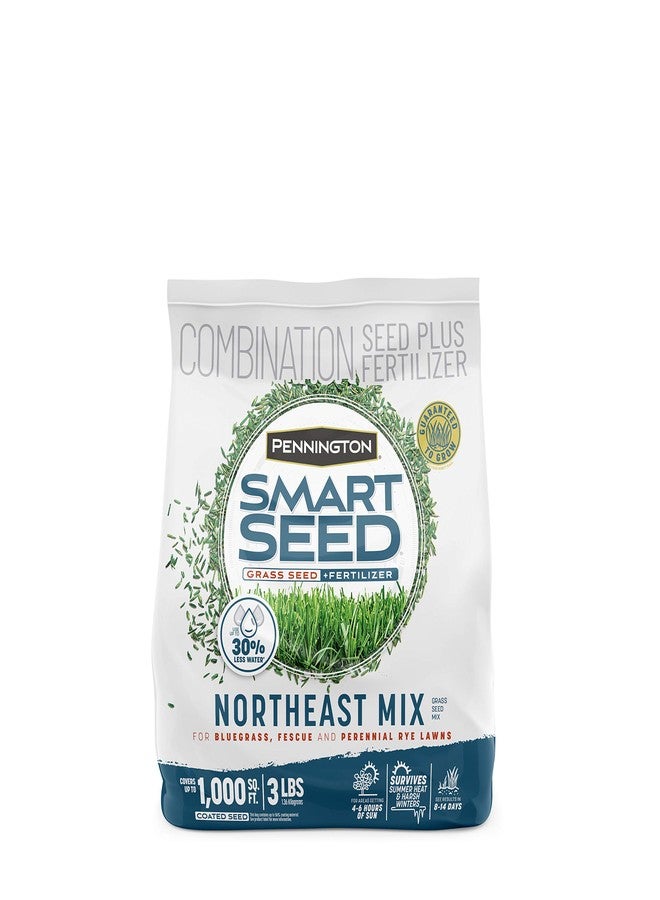 Pennington Smart Seed Northeast Grass Mix 3 lb - Image 1