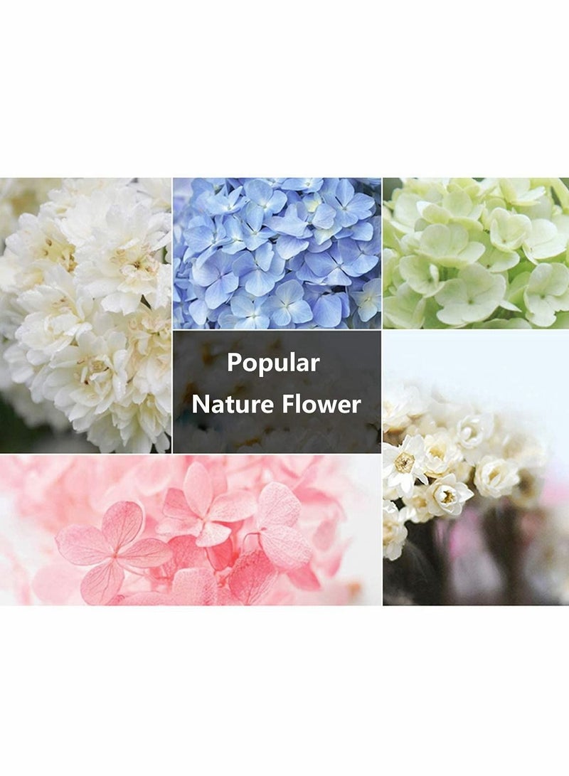 KASTWAVE Car Air Freshener Perfume Bottle Empty Refillable Car Perfume Bottle Car Hanging Diffuser Bottle Pendant Essential Diffuser Oil Fragrance Aromatherapy Empty Bottle Decor 4 Pcs - Image 4