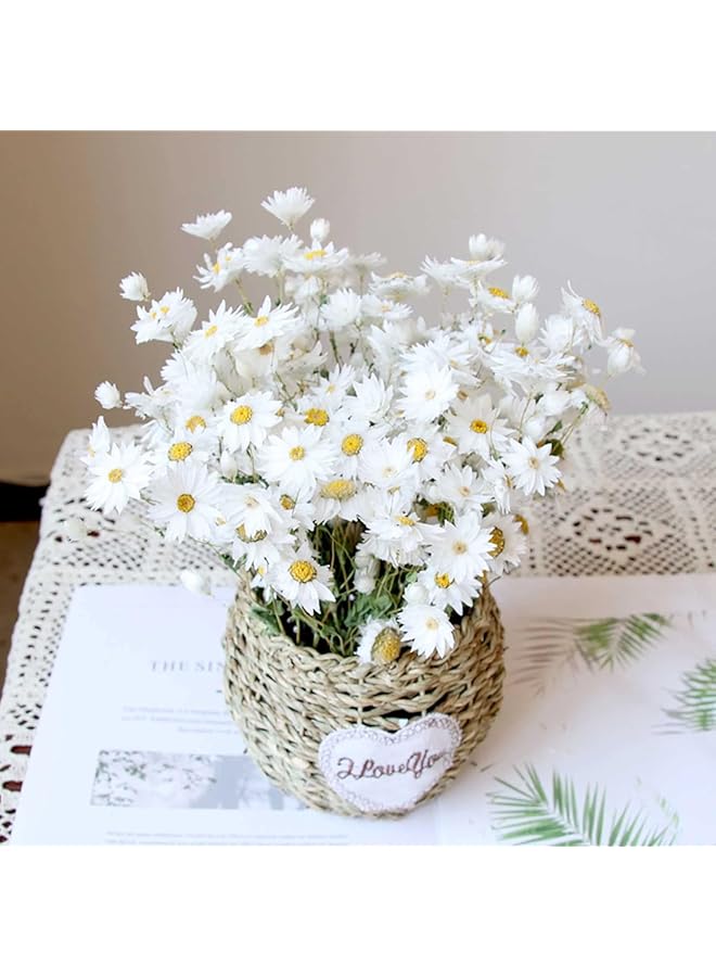 إيروريكس باقة زهور الأقحوان المجففة 150+ زهور بيضاء جافة عباد الشمس الاصطناعية 17 بوصة ترتيبات زهور الأقحوان الطبيعية لديكور مزهرية المزرعة لحفلات الزفاف والمكتب المنزلي - Image 3