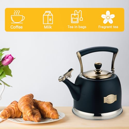 Lazneyru Tea Kettle Stainless Steel Teapot, Stainless Steel Teakettle for Stove Top with Heat Proof Ergonomic Handle 3.0 Quart - Image 5