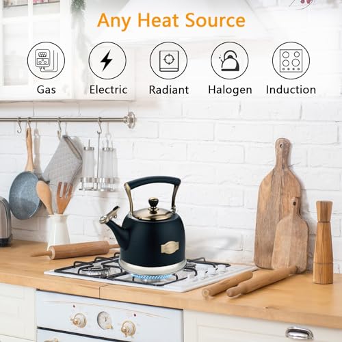 Lazneyru Tea Kettle Stainless Steel Teapot, Stainless Steel Teakettle for Stove Top with Heat Proof Ergonomic Handle 3.0 Quart - Image 2