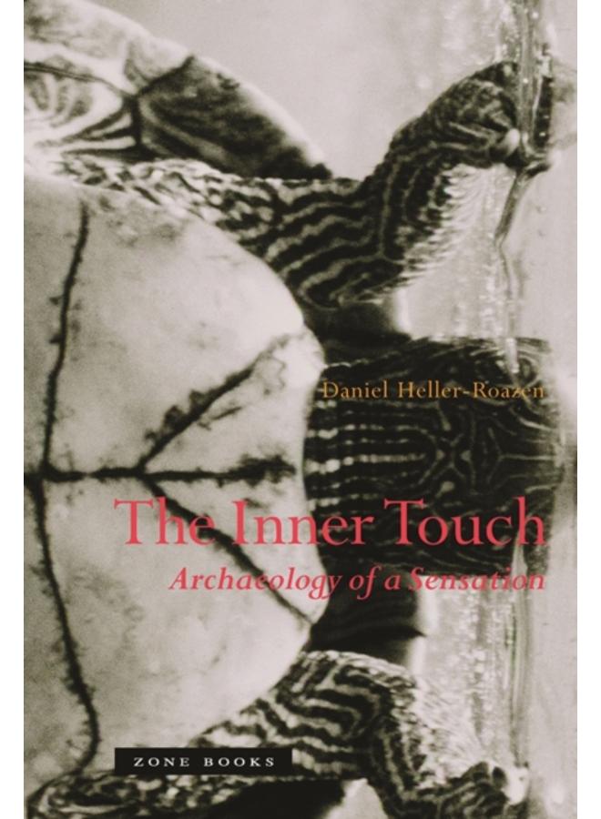 The Inner Touch : Archaeology of a Sensation 