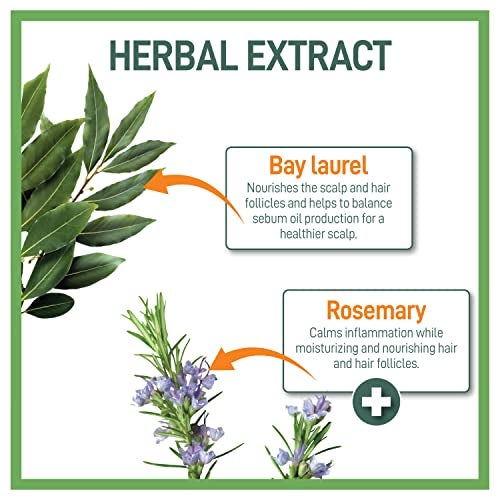 Moraz Herbal Moisturizing Shampoo for Dry, Damaged Hair – Color-Safe, No Paraben, SLS-Fee & No Harsh Salts – Hydrating Shampoo with Rosemary Extract & Bay Laurel for Hydration & Hair Repair, 17 Fl Oz - Image 5