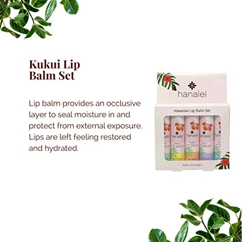 Hanalei Lip Balm & Moisturizer Variety Pack (5 Tubes) – Hydrating Care with Natural Kukui Oil & Beeswax – Soothes, Repairs & Nourishes Dry, Chapped Lips – Long-Lasting Moisture & Protection - Image 4
