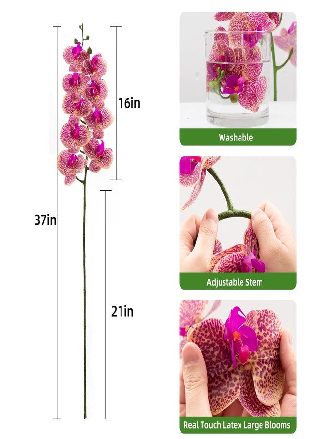CXGS Artificial Orchid Flower 9 Large Petals Realistic Latex Faux Orchids 2PCS 37in Orchid Stems Purple Dapple Fake Phalaenopsis Flower for Wedding Home Arrangement Décor - Image 2