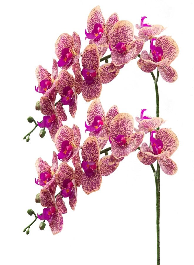 CXGS Artificial Orchid Flower 9 Large Petals Realistic Latex Faux Orchids 2PCS 37in Orchid Stems Purple Dapple Fake Phalaenopsis Flower for Wedding Home Arrangement Décor - Image 1