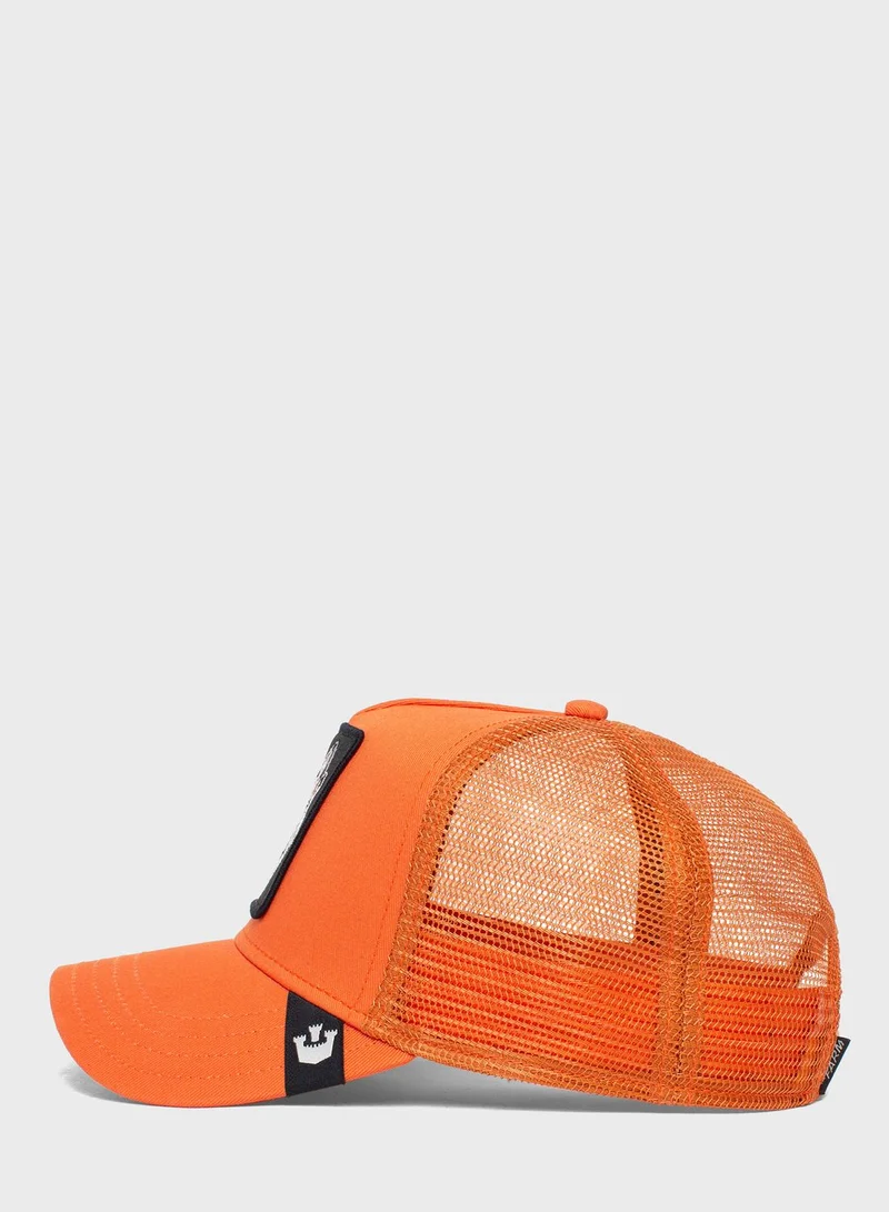 جورين بروس. كاب بحافة منحنية ذا لون وولف